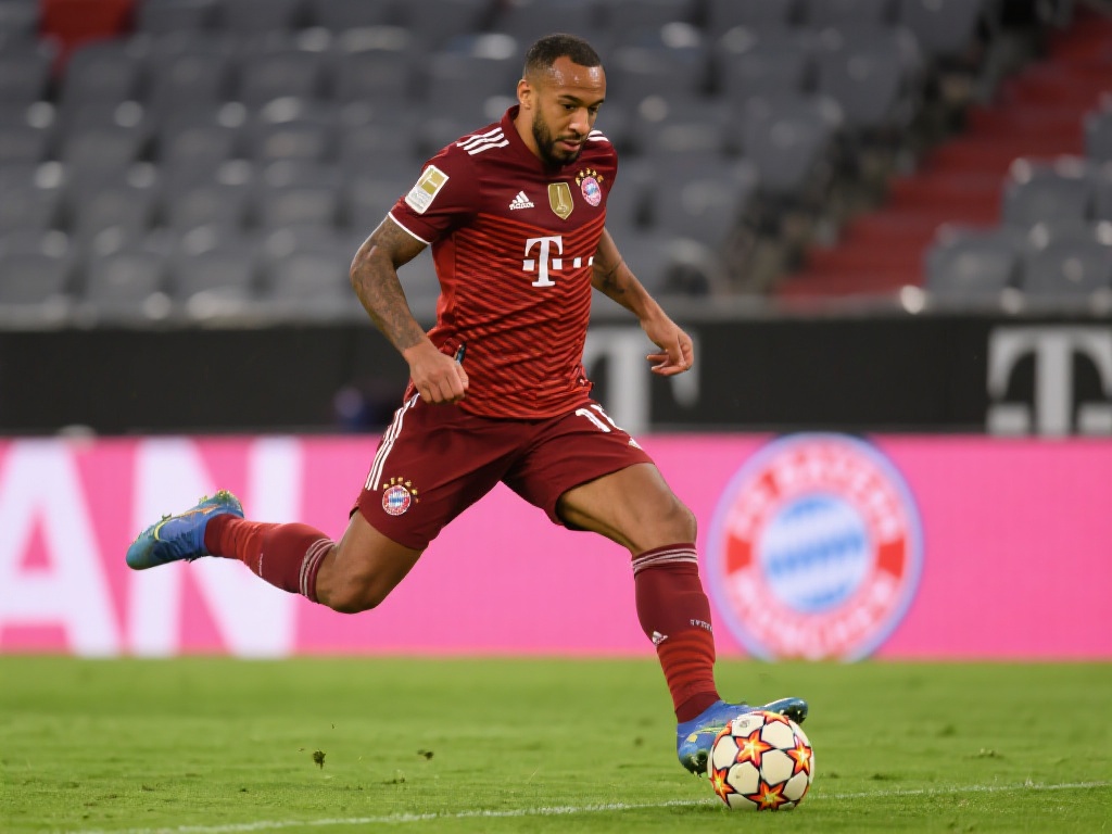 奥纳纳的到 奥纳纳的到